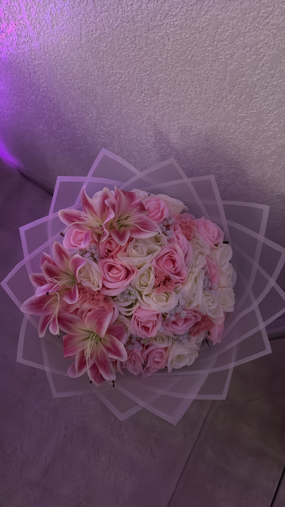 Rose poudré